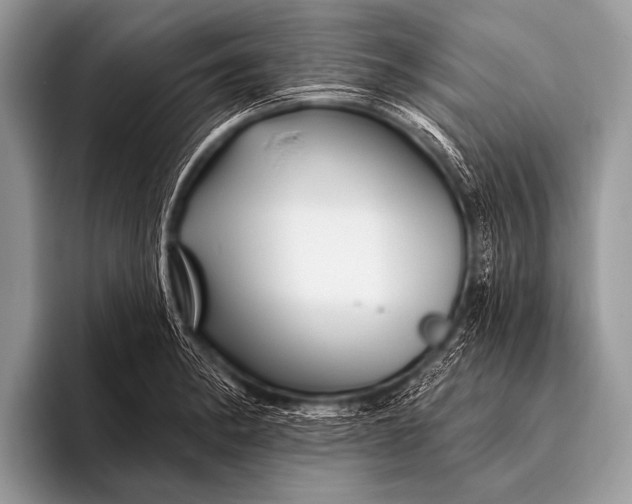 X0000096191182200802081514