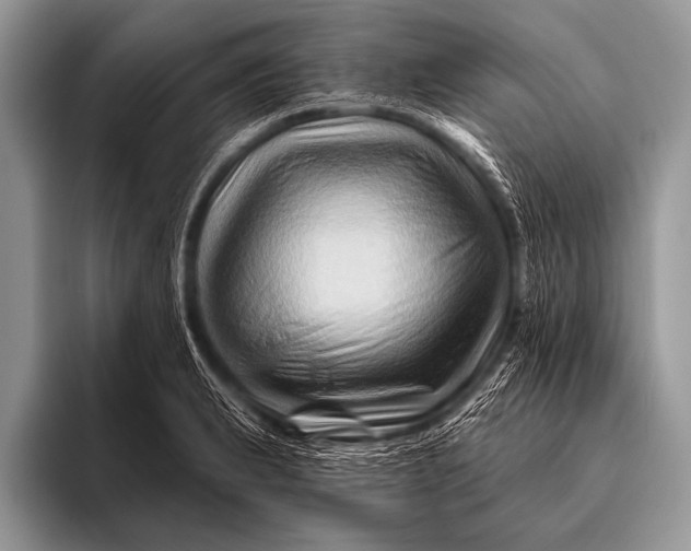 X0000096191183200802081514