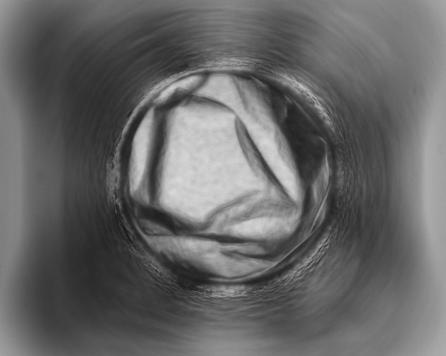 X0000096191184200802081514