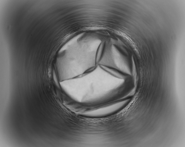 X0000096191185200802081514