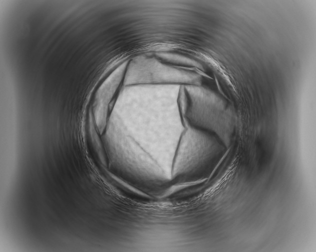 X0000096191186200802081514