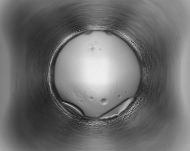 X0000096191187200802081513