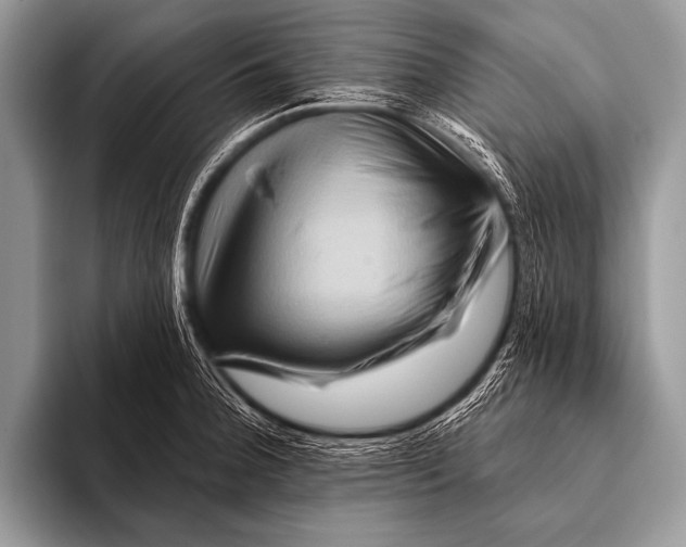 X0000096191188200802081513