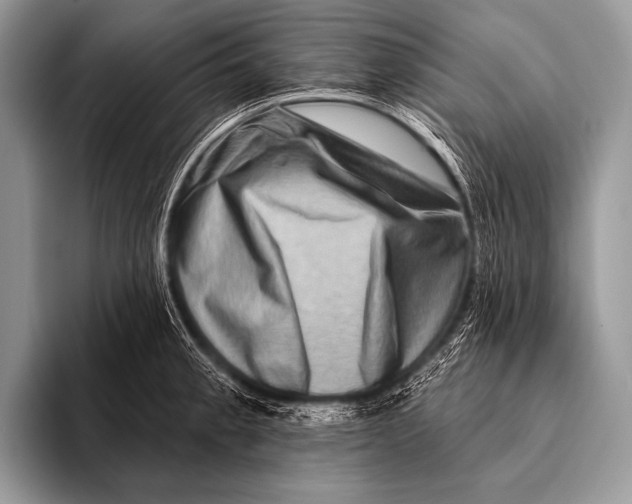 X0000096191189200802081513