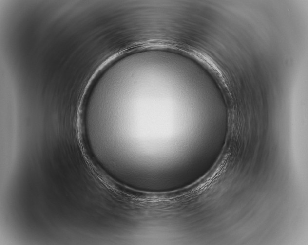 X0000096191190200802081513