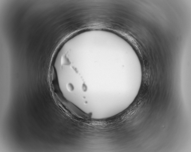 X0000096191191200802081513