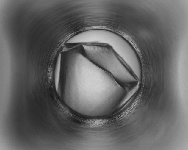 X0000096191193200802081513