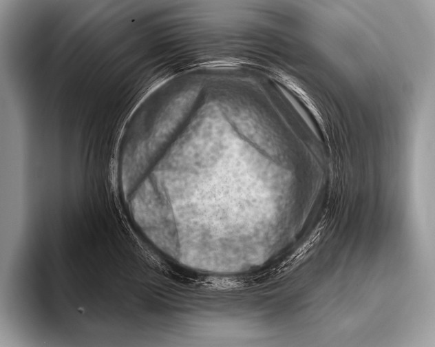 X0000096191194200802081513