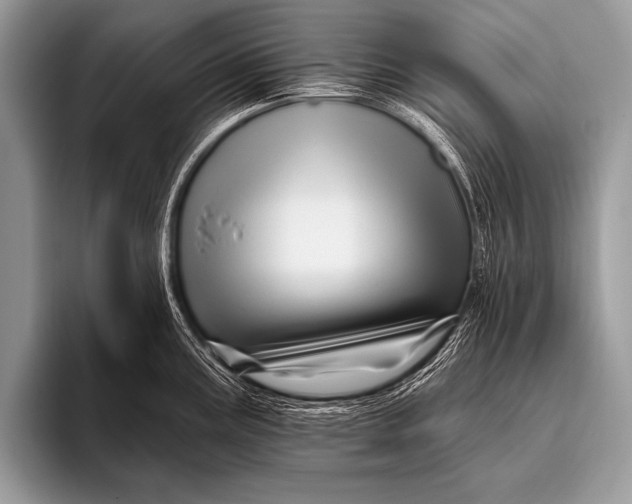 X0000096191195200802081513