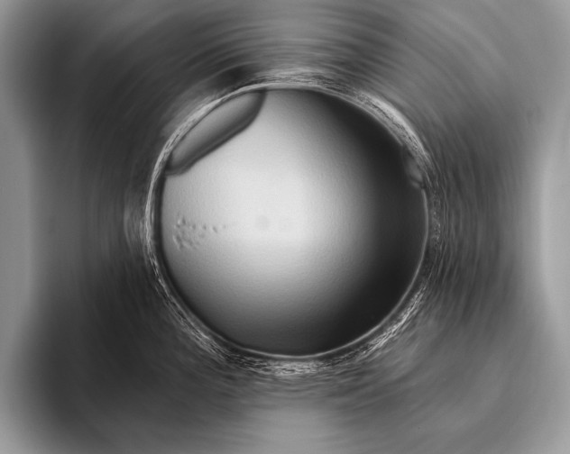 X0000096191196200802081513