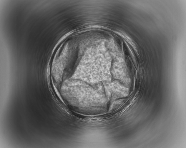 X0000096191198200802081513