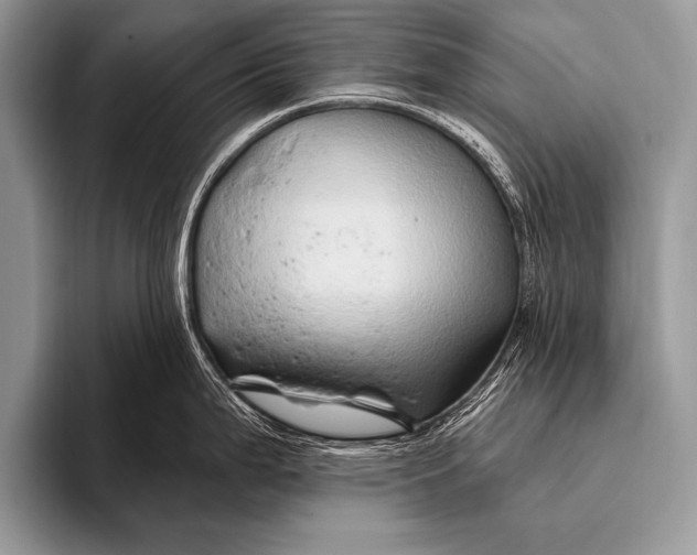 X0000096191199200802081513