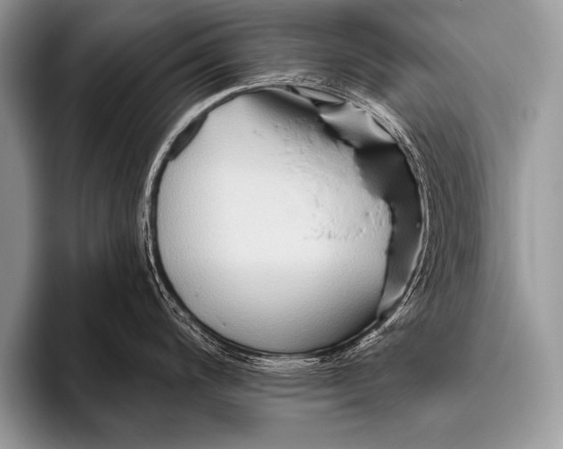 X0000096191200200802081513