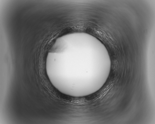 X0000096191201200802081513