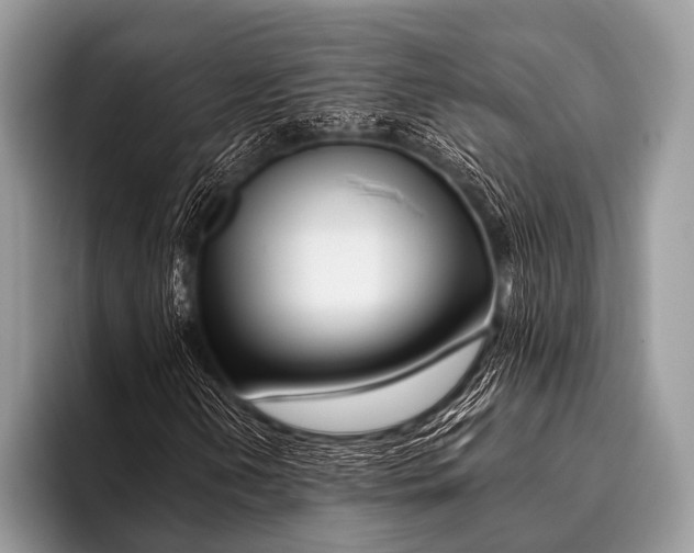 X0000096191202200802081513