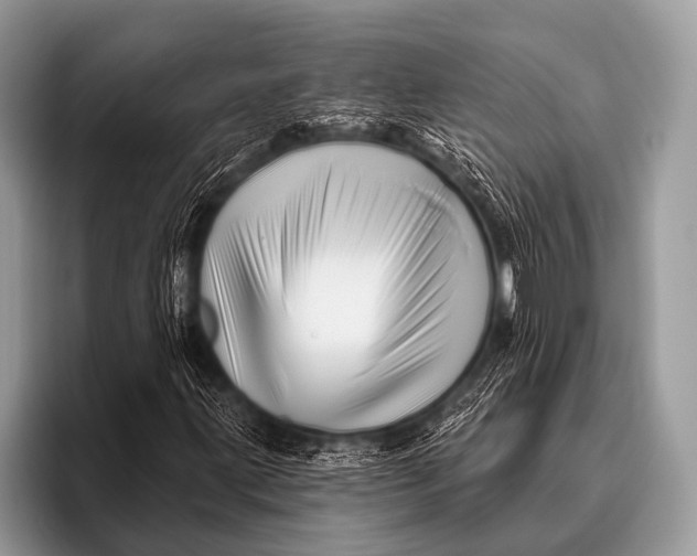 X0000096191203200802081513