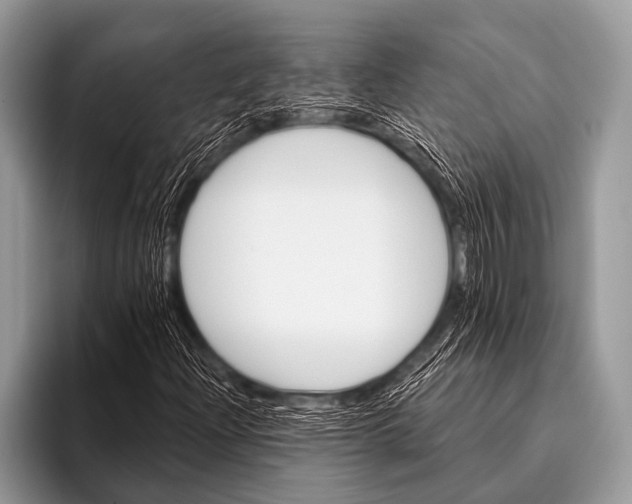 X0000096191204200802081513