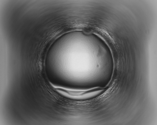 X0000096191209200802081513