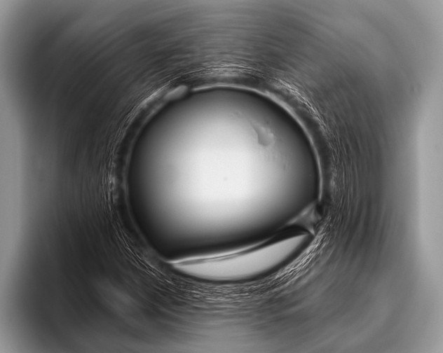 X0000096191210200802081513