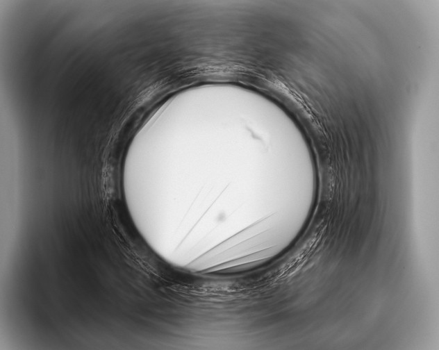 X0000096191211200802081513