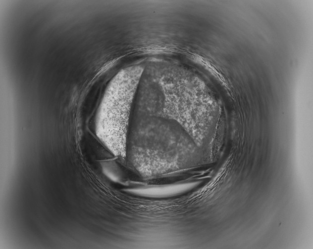 X0000096191213200802081513