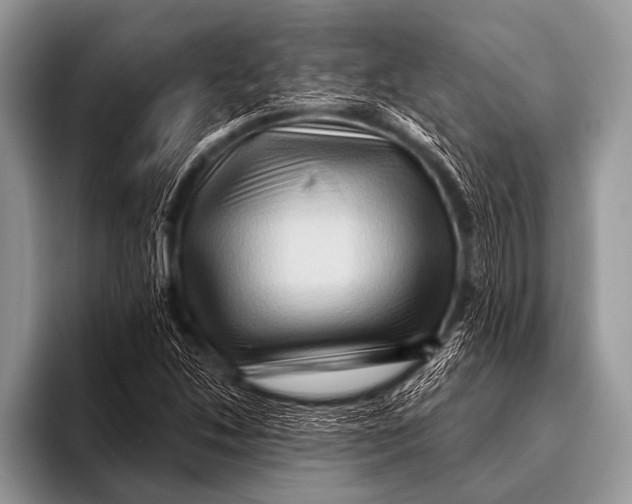 X0000096191214200802081513