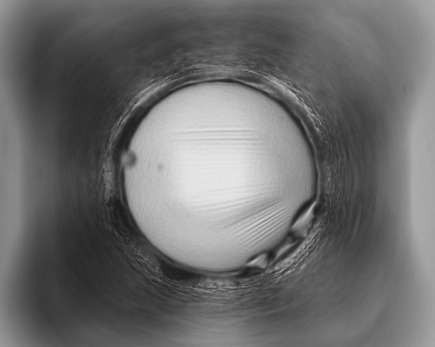 X0000096191215200802081513