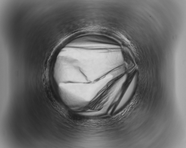 X0000096191216200802081513