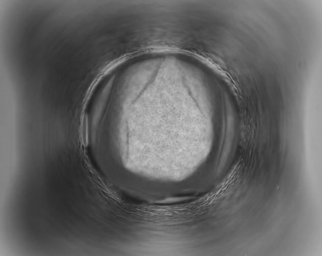 X0000096191223200802081513