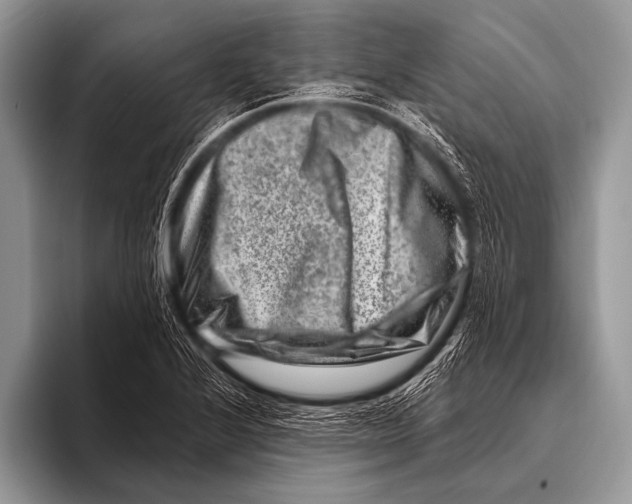 X0000096191224200802081513