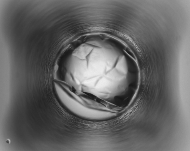 X0000096191225200802081513