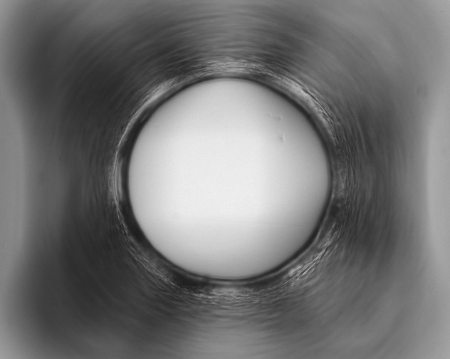 X0000096191227200802081513