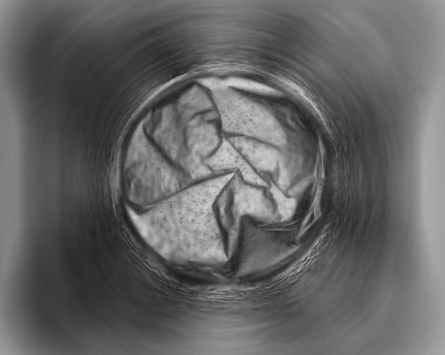 X0000096191228200802081513