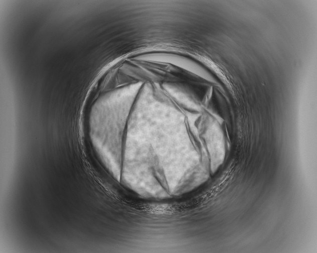 X0000096191230200802081513