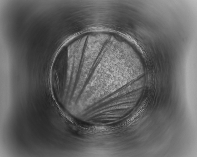 X0000096191231200802081513