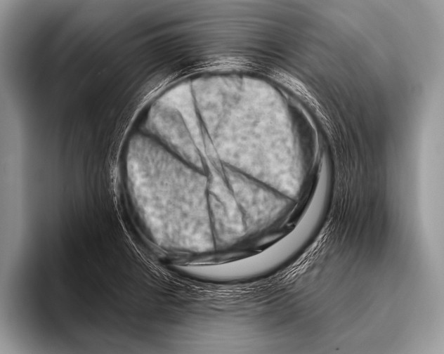 X0000096191234200802081513