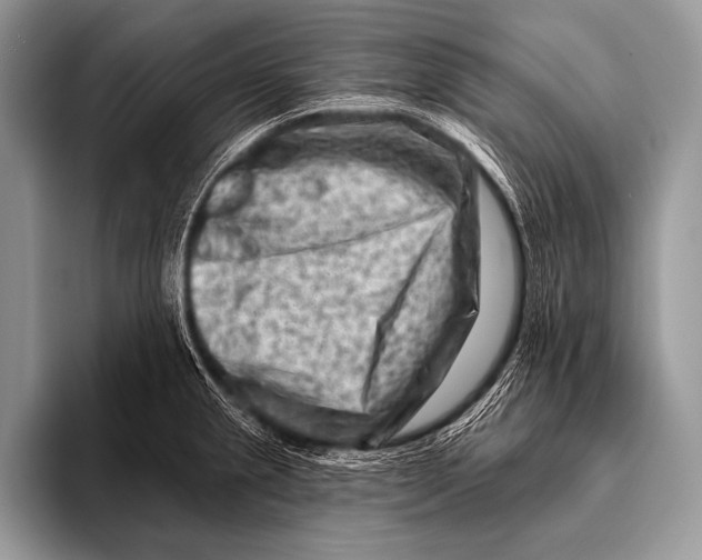 X0000096191237200802081513