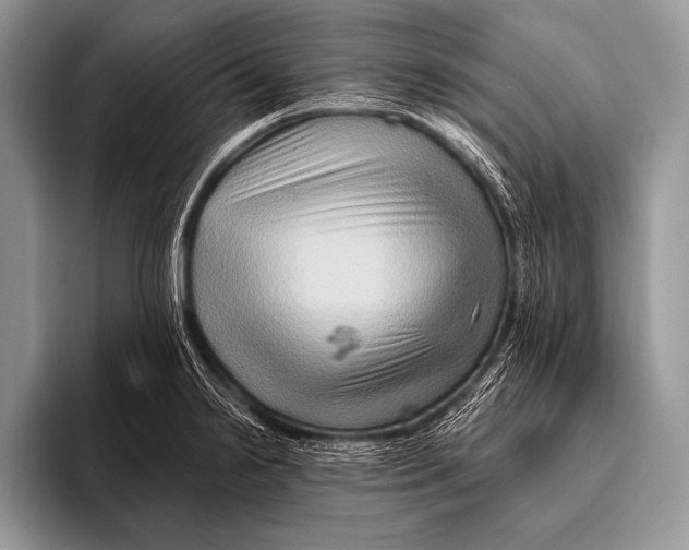 X0000096191238200802081513