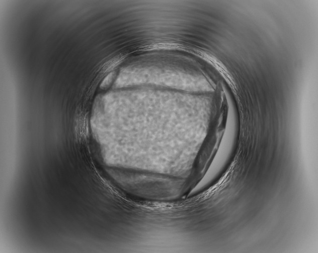 X0000096191241200802081513