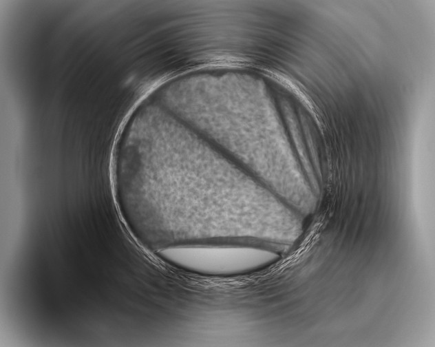 X0000096191243200802081513