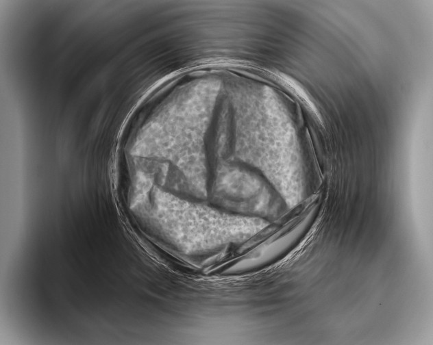 X0000096191244200802081513