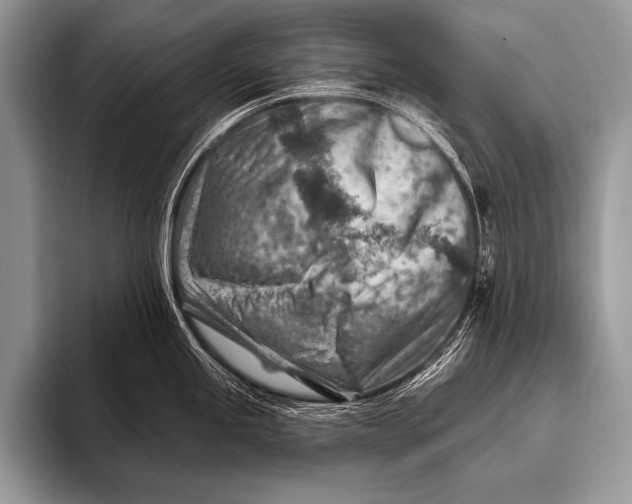 X0000096191245200802081513