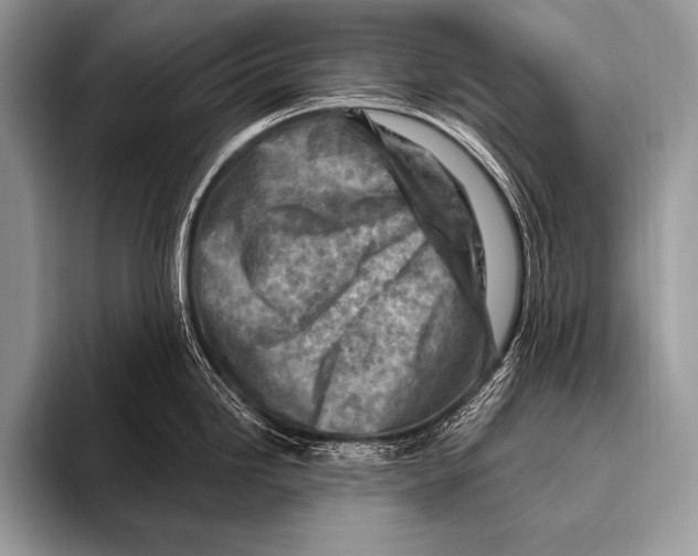 X0000096191246200802081513