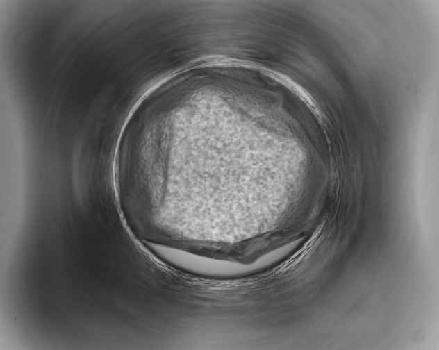 X0000096191247200802081513