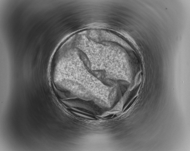 X0000096191248200802081513