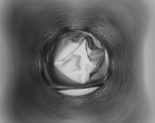 X0000096191250200802081513