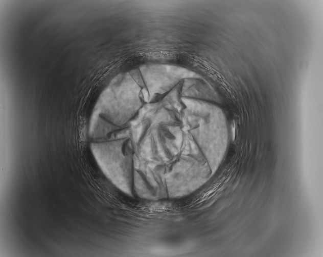 X0000096191251200802081513