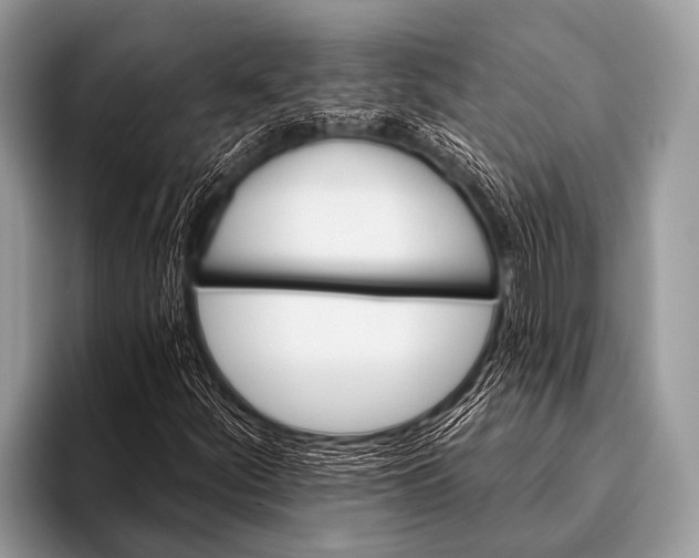 X0000096191252200802081513