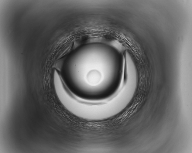 X0000096191253200802081513