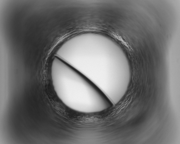 X0000096191256200802081513